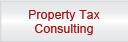 Property Tax Consulting